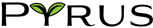 Pyrus Digital Media